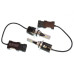 LED лампа Baxster PXL HB4(9006) 6000K 4300Lm (2 шт)