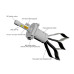 LED лампа ALed RP HB4 (9006) 4300K 4800Lm (2 шт)