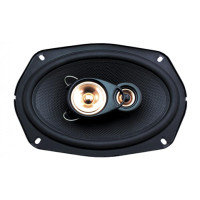 Акустика Celsior CS-693С (Carbon) Акустика Celsior CS-693С (Carbon)