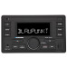2-DIN медіа-ресивер Blaupunkt PALMA 190BT