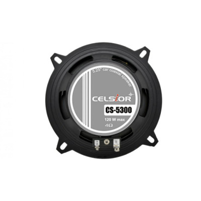 Акустика Celsior CS-5300 Акустика Celsior CS-5300
