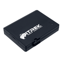 GPS-трекер BI 522L TREK